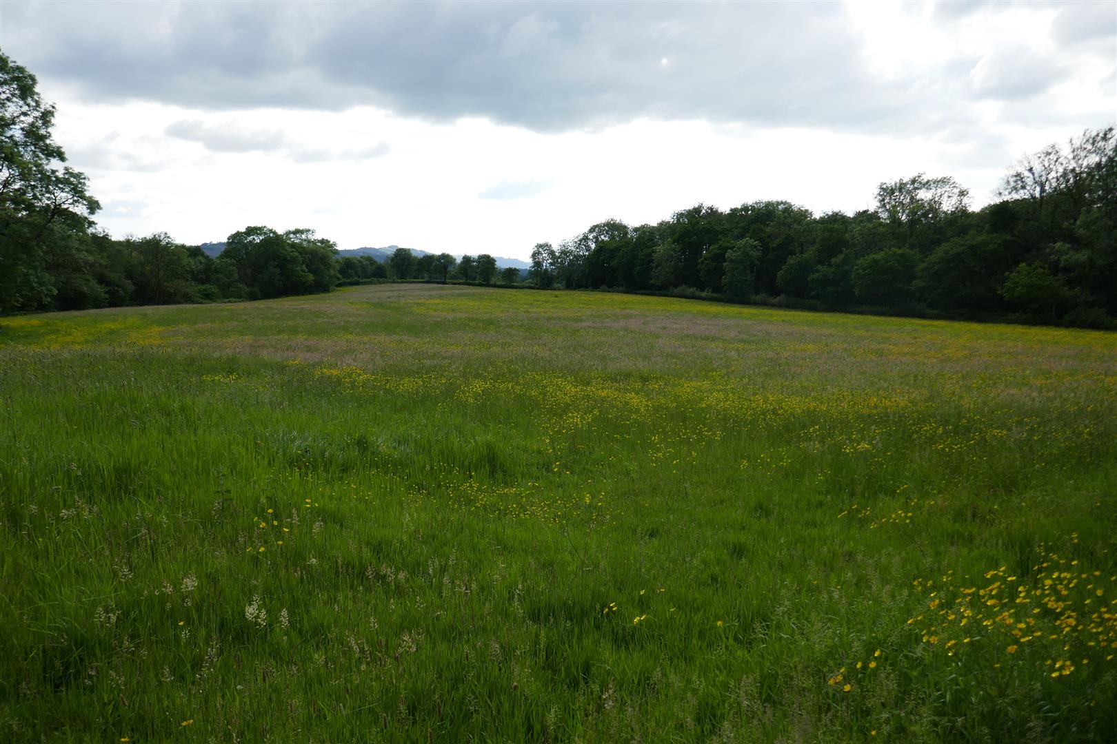 LAND
